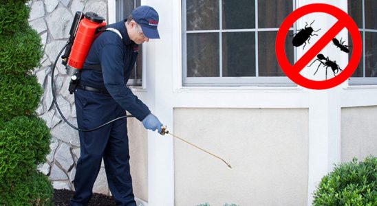 Koçarlı Bit İlaçlama böcek ilaçlama ve haşere kontrolü — ilaclama-tr.com